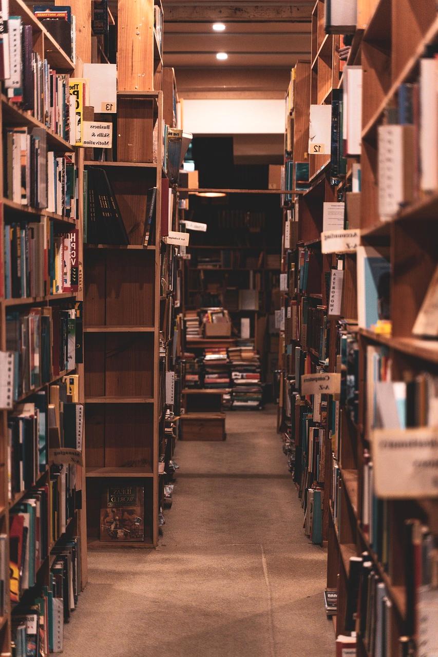 Neural Network Learning Paths Banner