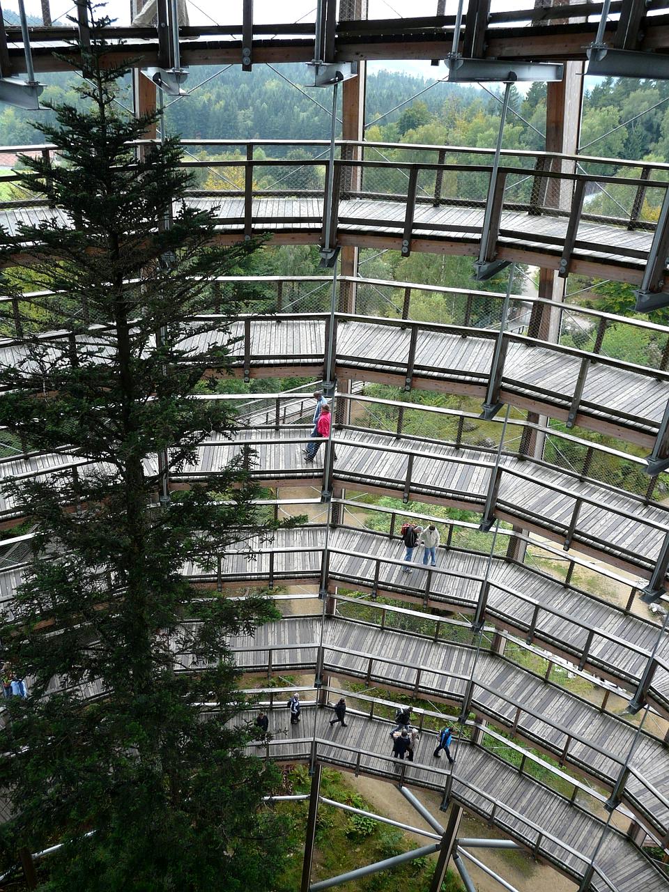 Quantum entanglement visualization between interconnected knowledge nodes