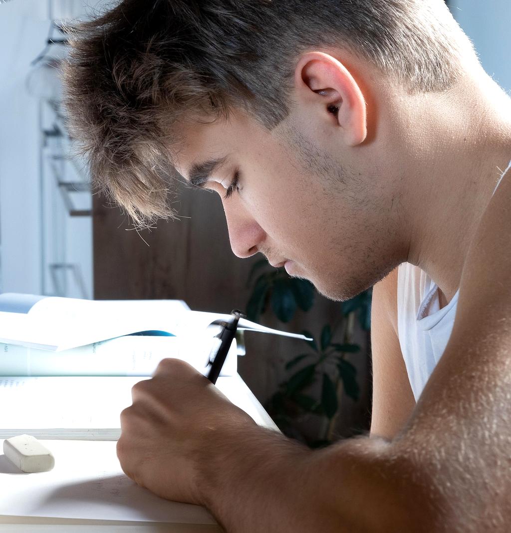 Focused learner analyzing methodology concepts