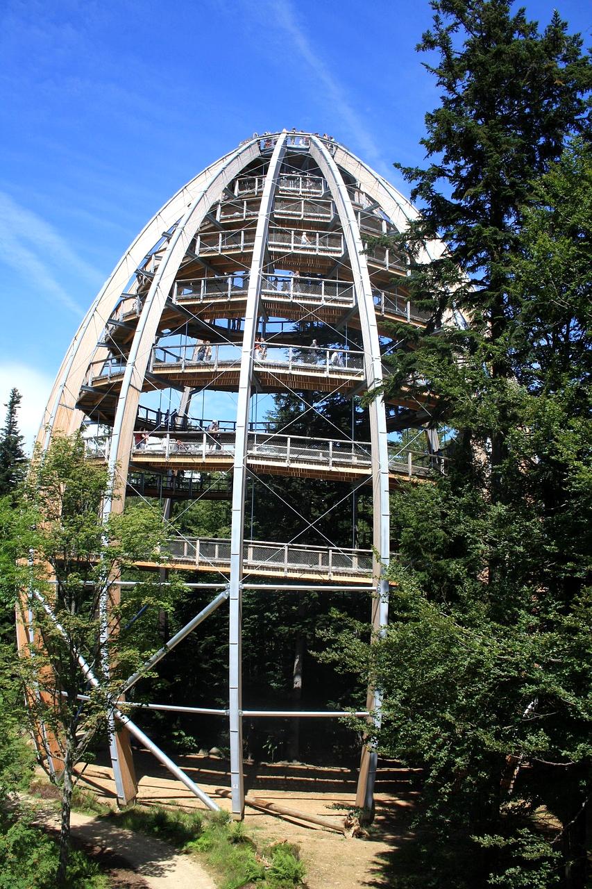 Quantum tunneling effect through complex learning barriers