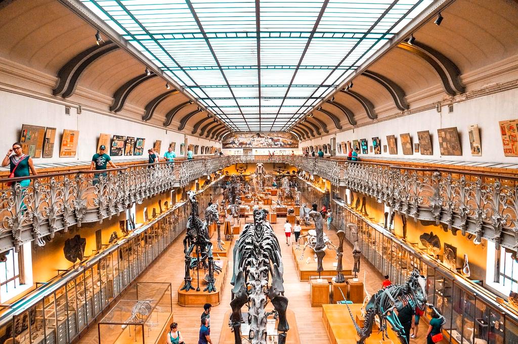 Dr. Anna Müller, Lead Educational Scientist