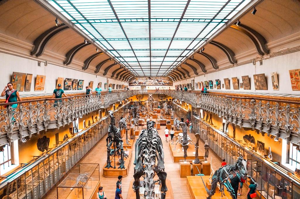 Markus Schneider, AI Learning Specialist