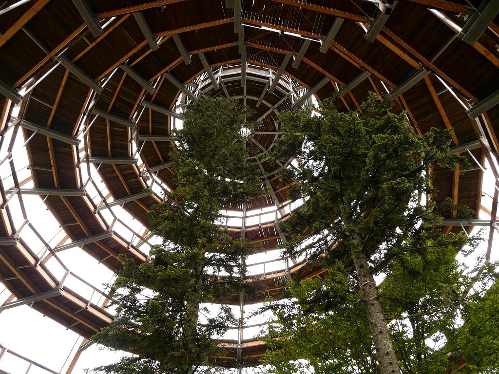 Sophia Lange, Community Manager